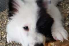 IMG-20210716-WA0012