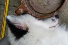 IMG-20210717-WA0002