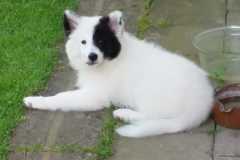 IMG-20210717-WA0008