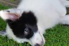 IMG-20210717-WA0010