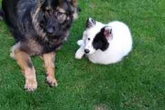 IMG-20210730-WA0006