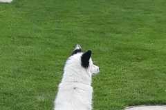 IMG-20210803-WA0006