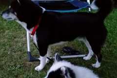 IMG-20210807-WA0014