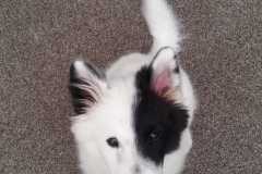 IMG-20210817-WA0002