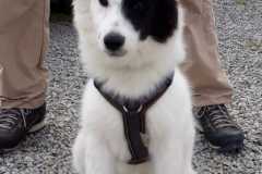 IMG-20210821-WA0003