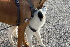 IMG-20210821-WA0005