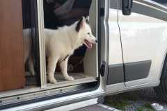 IMG-20210821-WA0016