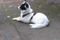 IMG-20210918-WA0005