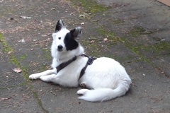 IMG-20210918-WA0009