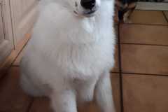 IMG-20211021-WA0005