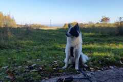 IMG-20211024-WA0002