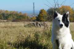 IMG-20211024-WA0003