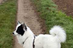 IMG-20211121-WA0025