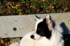 IMG-20211125-WA0009
