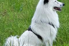 IMG-20220918-WA0006