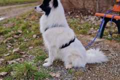 IMG-20230224-WA0017
