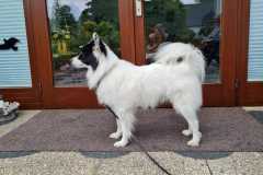 IMG-20230719-WA0008