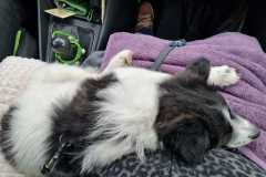 IMG-20220116-WA0013