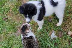 IMG-20220117-WA0006