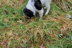 IMG-20220117-WA0007