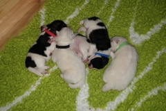 2023-01-22-11.16.02