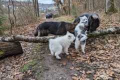 IMG-20230319-WA0002