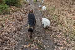 IMG-20230319-WA0003
