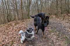 IMG-20230319-WA0004