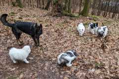 IMG-20230319-WA0007
