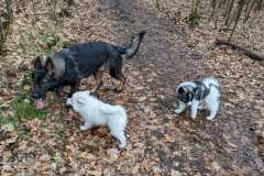 IMG-20230319-WA0008