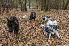 IMG-20230319-WA0015