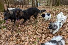 IMG-20230319-WA0017
