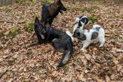 IMG-20230319-WA0020