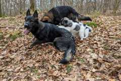 IMG-20230319-WA0021