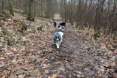 IMG-20230319-WA0022