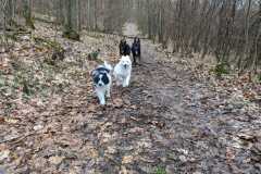 IMG-20230319-WA0023