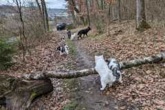 IMG-20230319-WA0024