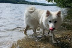 IMG-20230809-WA0003