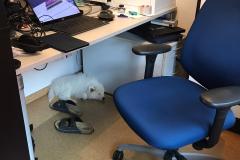 IMG-20210625-WA0003