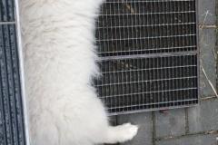 IMG-20210626-WA0016