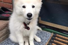 IMG-20210716-WA0000