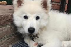 IMG-20210716-WA0001