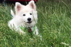 IMG-20210716-WA0008