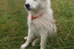 IMG-20210801-WA0000