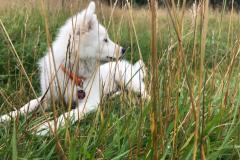 IMG-20210801-WA0001