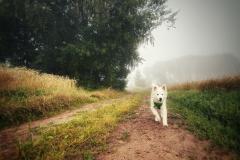 IMG-20210806-WA0014
