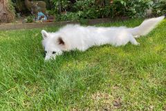 IMG-20210821-WA0011