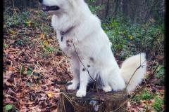 IMG-20211120-WA0002