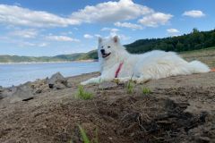 IMG-20220918-WA0009