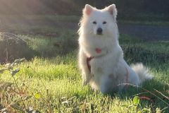 IMG-20220921-WA0002